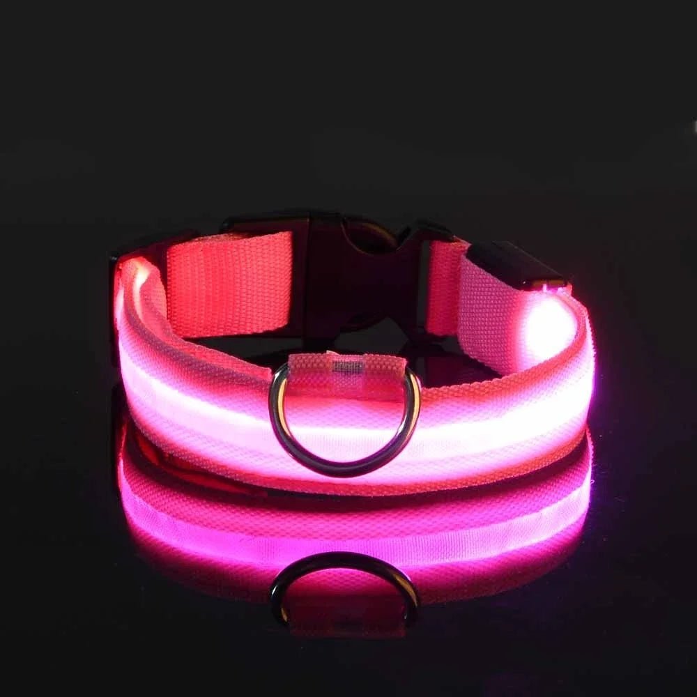 LED Glow Safety Dog Collar - Luminous Nylon Leash