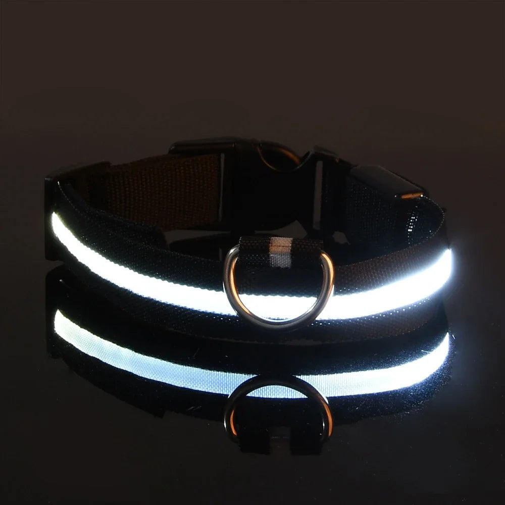 LED Glow Safety Dog Collar - Luminous Nylon Leash