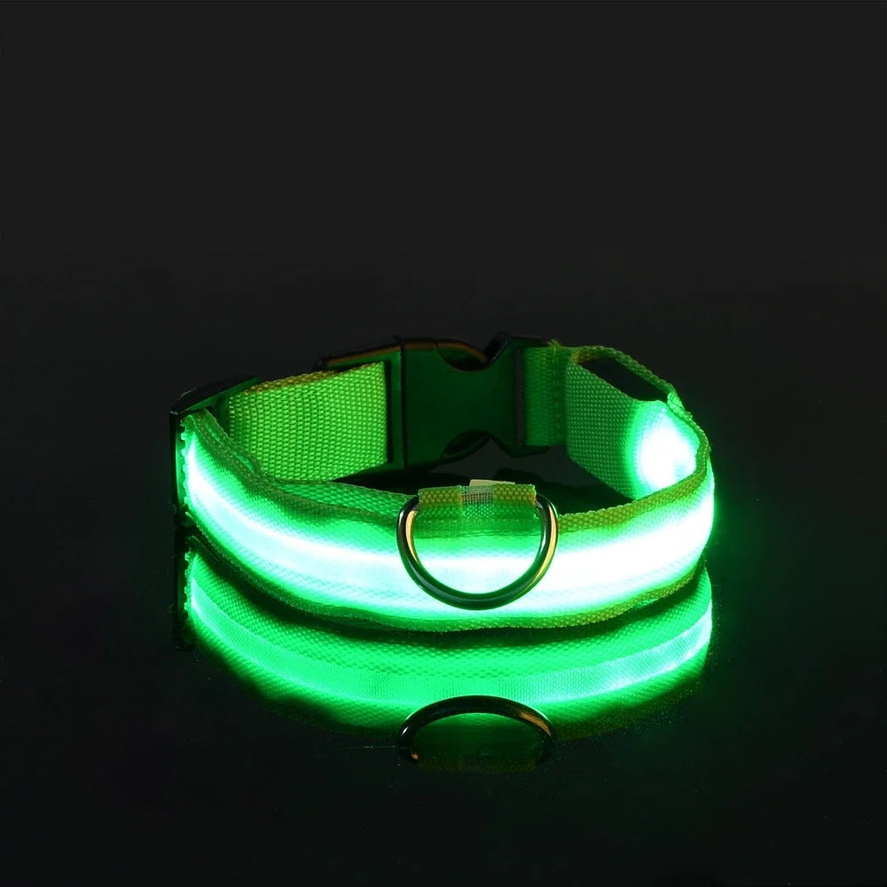 LED Glow Safety Dog Collar - Luminous Nylon Leash