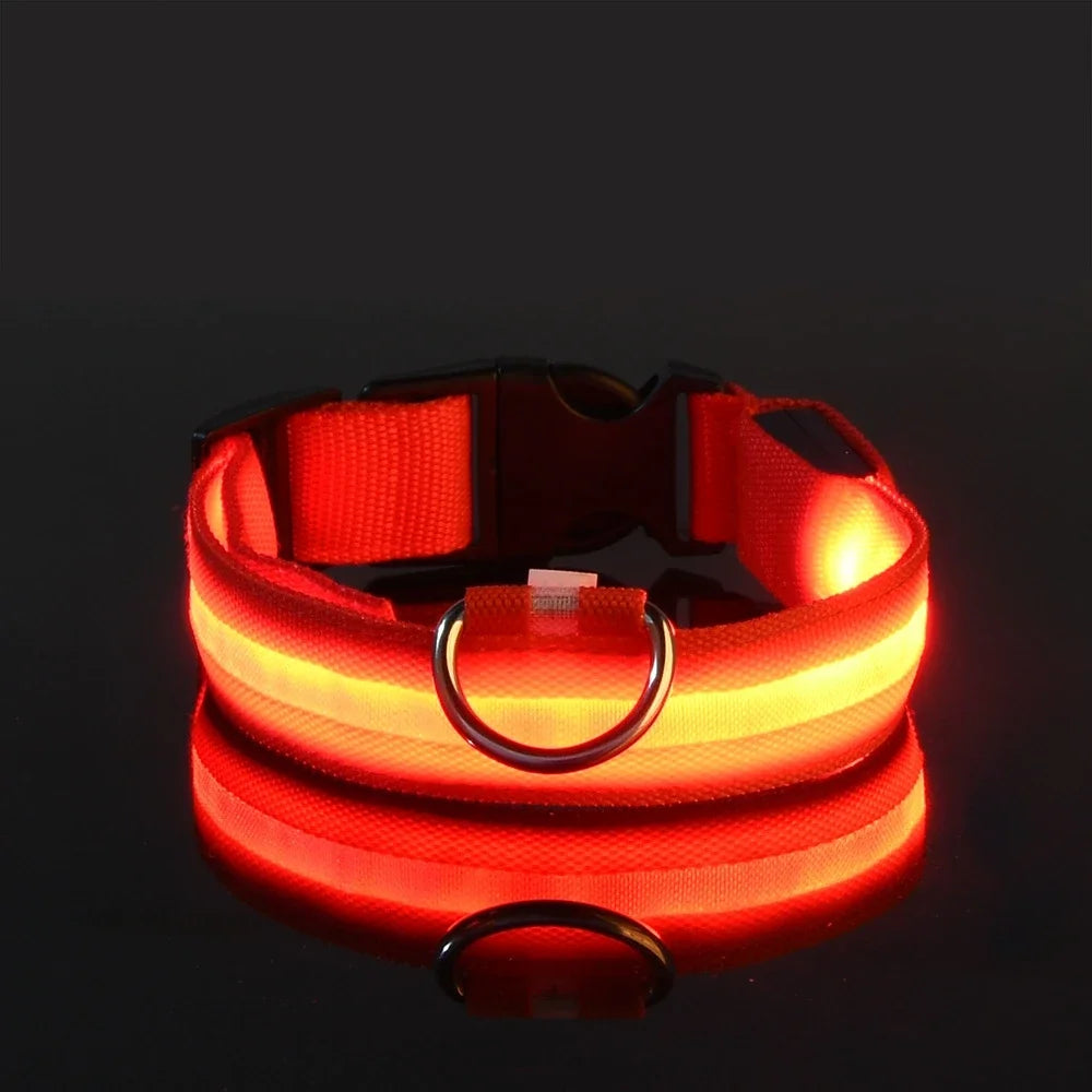 LED Glow Safety Dog Collar - Luminous Nylon Leash
