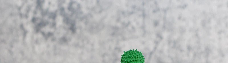 23cm One Piece Roronoa Zoro Figure Zoro Model Pvc Action Figures 2 Heads GK Model Collectible Green Decoration Children Gifts - Kaiju Mafia