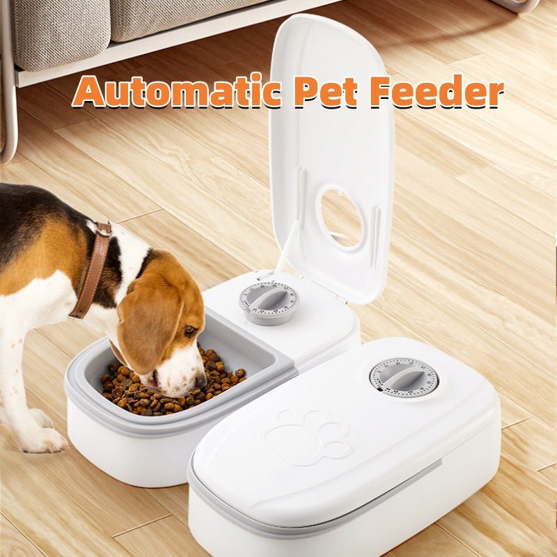 Smart Automatic Pet Feeder - Kaiju Mafia