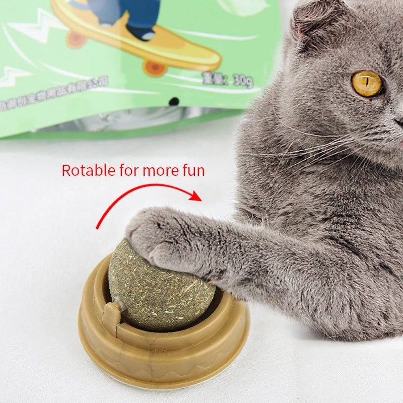 Catnip Wall Toy for Healthy Playtime and Digestion - Kaiju Mafia