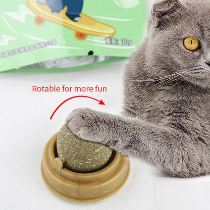Catnip Wall Toy for Healthy Playtime and Digestion - Kaiju Mafia