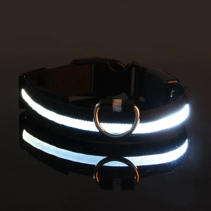 LED Glow Safety Dog Collar - Luminous Nylon Leash