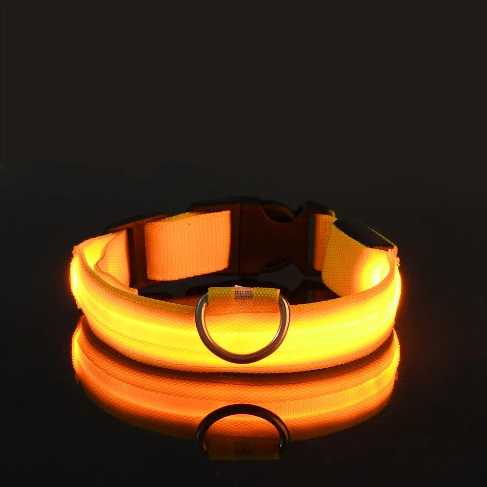 LED Glow Safety Dog Collar - Luminous Nylon Leash