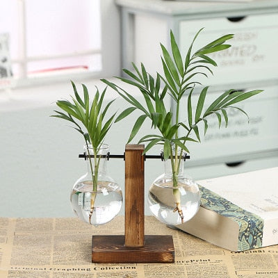 Transparent Hydroponic Plant Vases