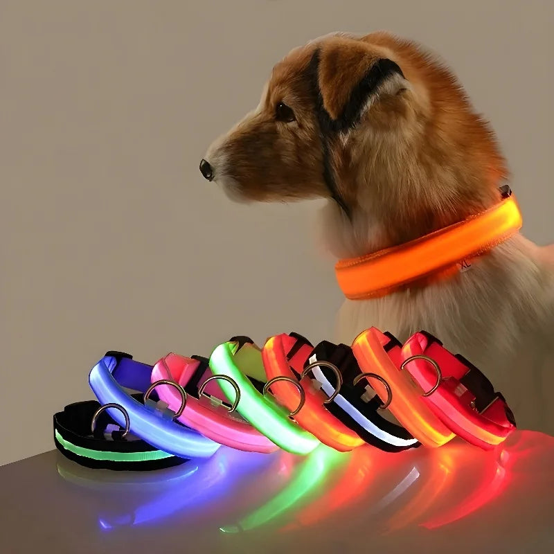 LED Glow Safety Dog Collar - Luminous Nylon Leash