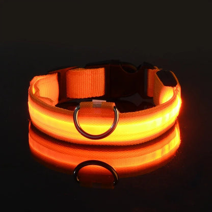 LED Glow Safety Dog Collar - Luminous Nylon Leash