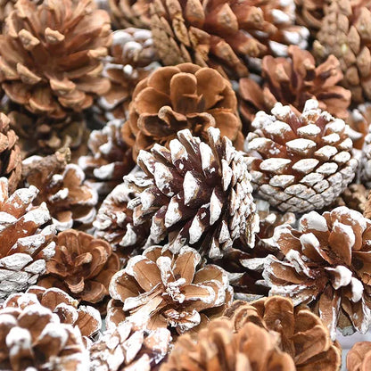 Natural Pine Cones Bulk