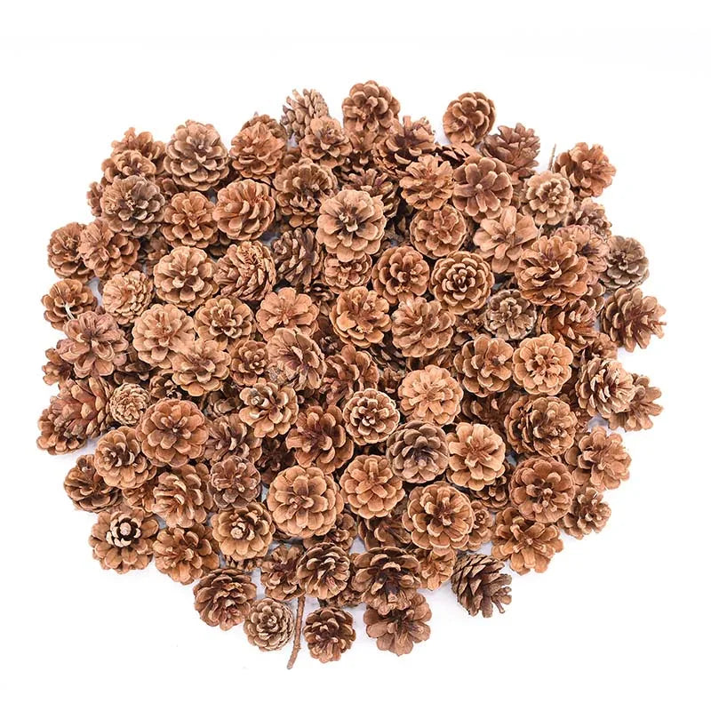 Natural Pine Cones Bulk