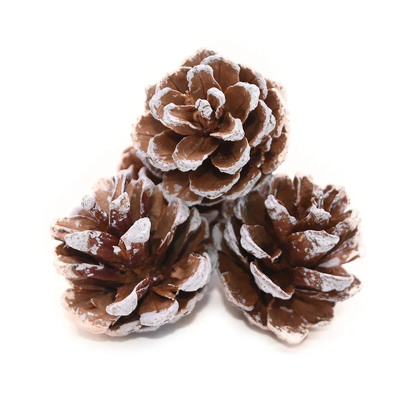 Natural Pine Cones Bulk