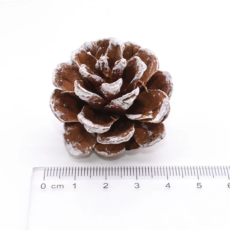 Natural Pine Cones Bulk