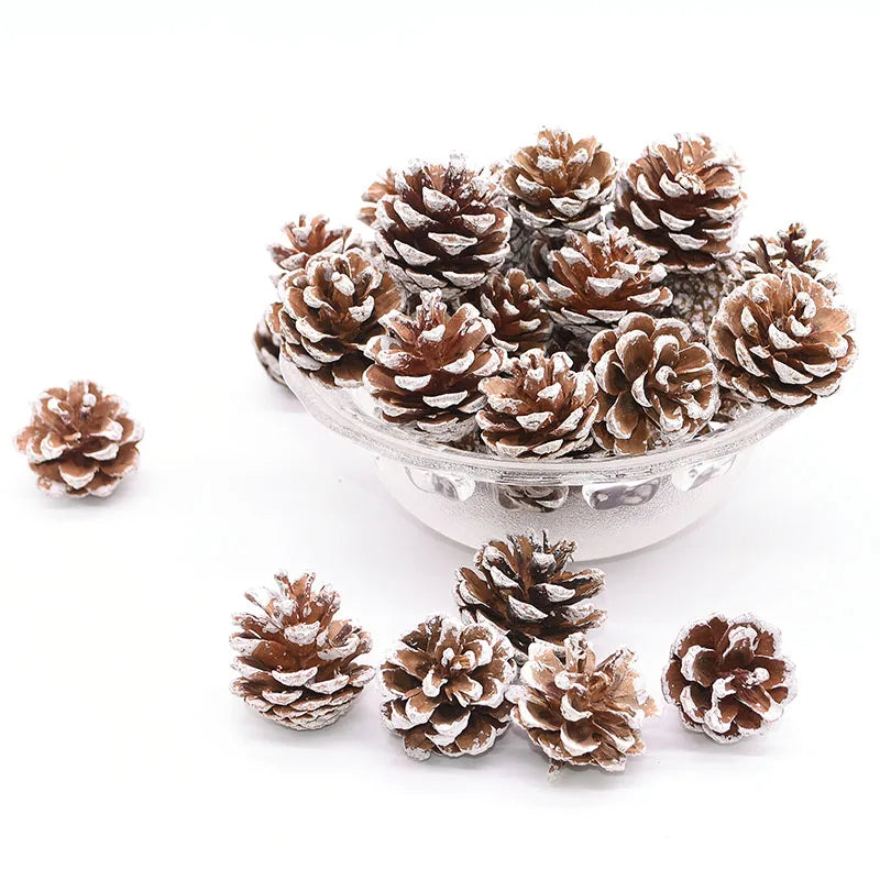 Natural Pine Cones Bulk