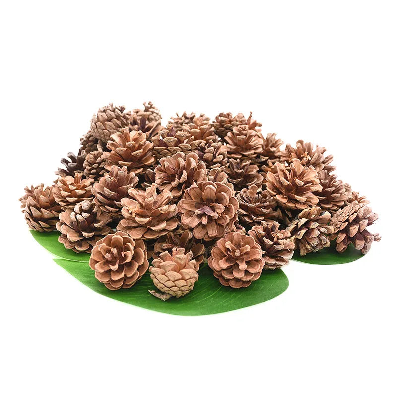 Natural Pine Cones Bulk