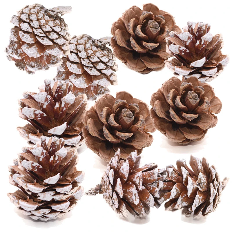 Natural Pine Cones Bulk