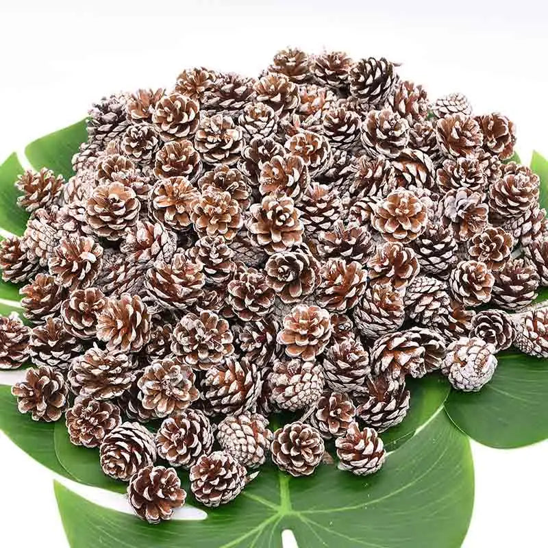 Natural Pine Cones Bulk