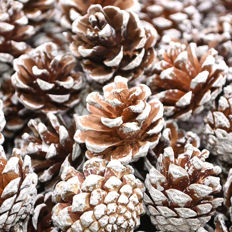 Natural Pine Cones Bulk