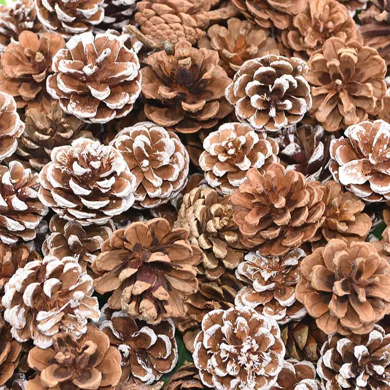 Natural Pine Cones Bulk