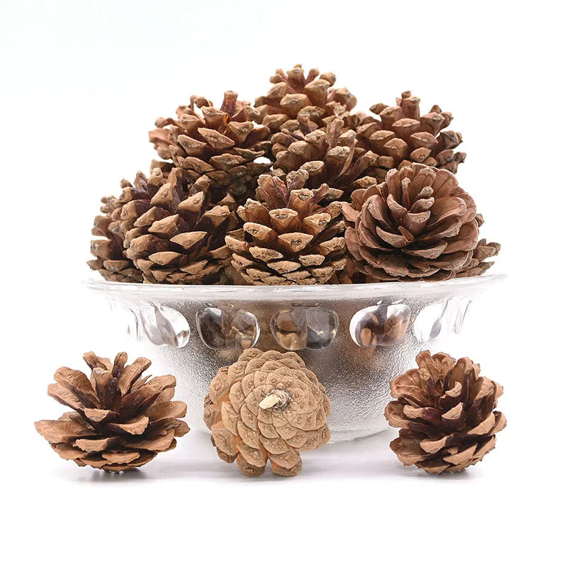 Natural Pine Cones Bulk