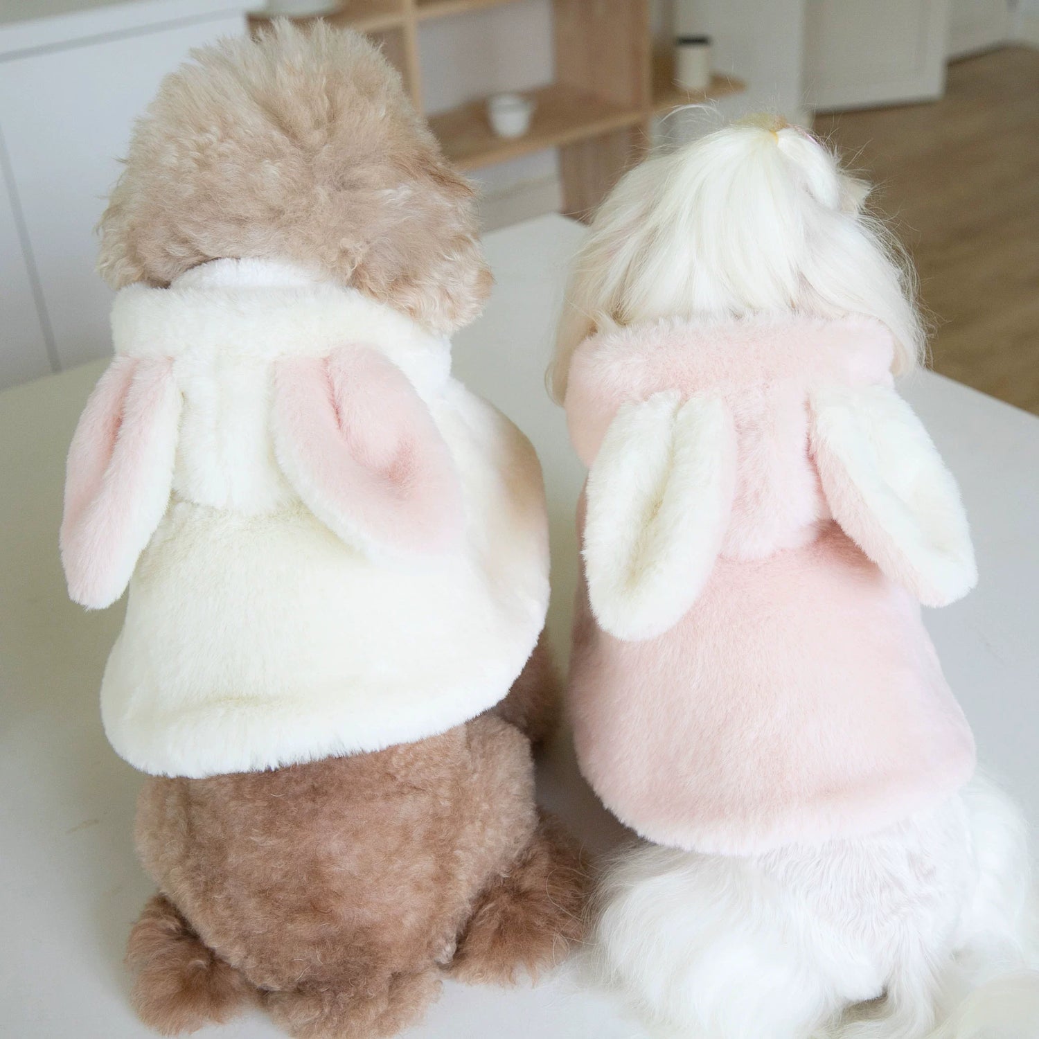 Small Size Pet Clothes- Rabbit