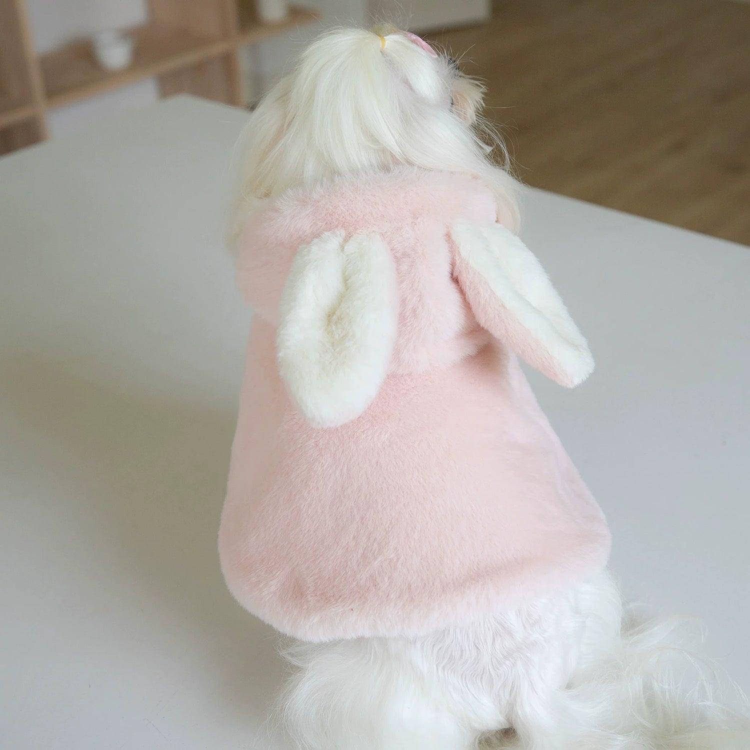 Small Size Pet Clothes- Rabbit