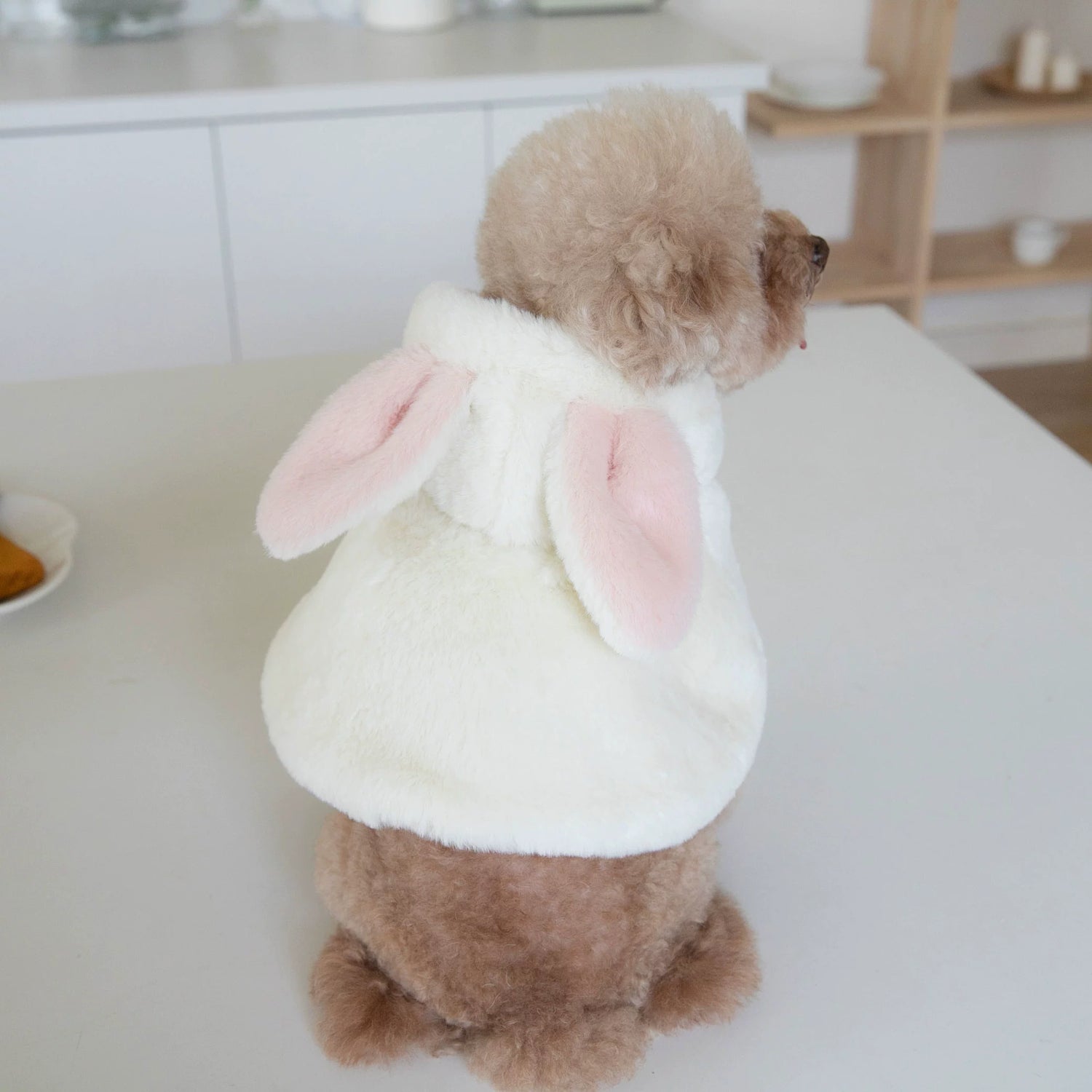 Small Size Pet Clothes- Rabbit