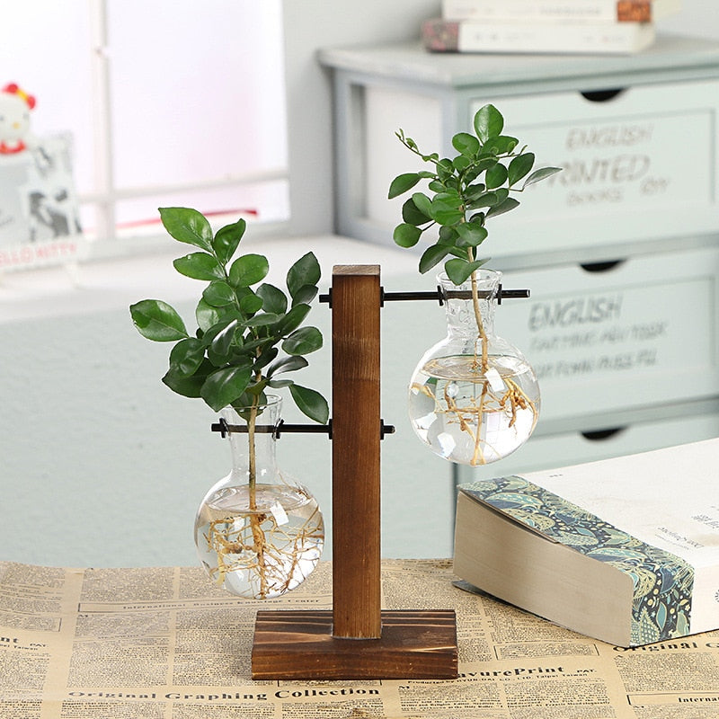 Transparent Hydroponic Plant Vases