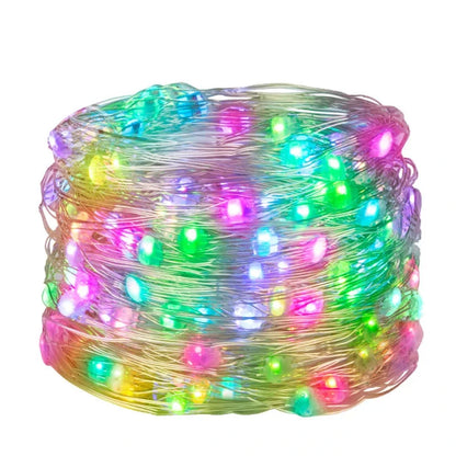 50 LED String Lights