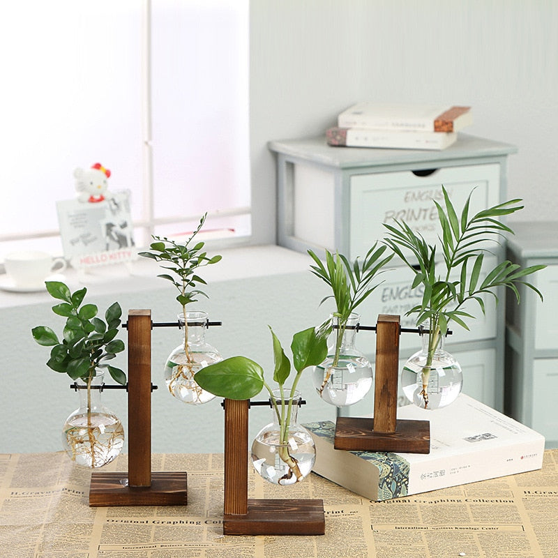 Transparent Hydroponic Plant Vases