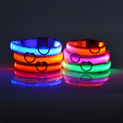 LED Glow Safety Dog Collar - Luminous Nylon Leash