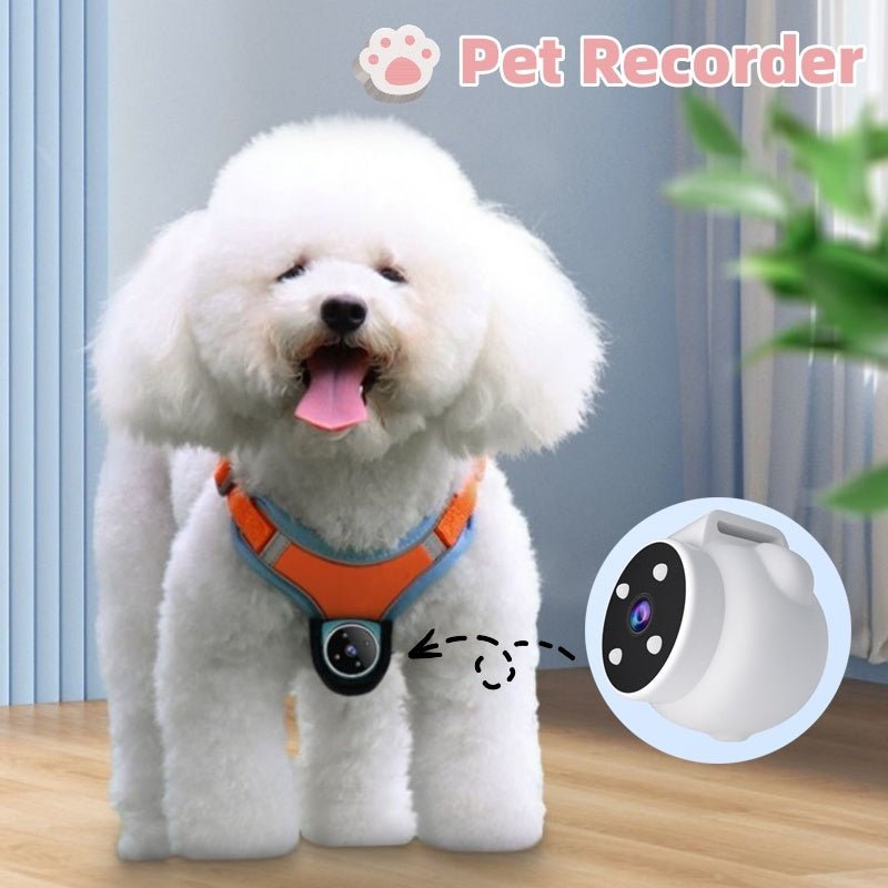 Pets Recorder and Tracker Collar for Dogs And Cats - Kaiju Mafia