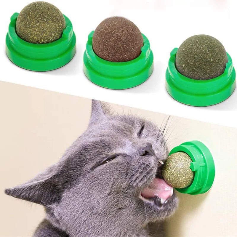 Catnip Wall Toy for Healthy Playtime and Digestion - Kaiju Mafia